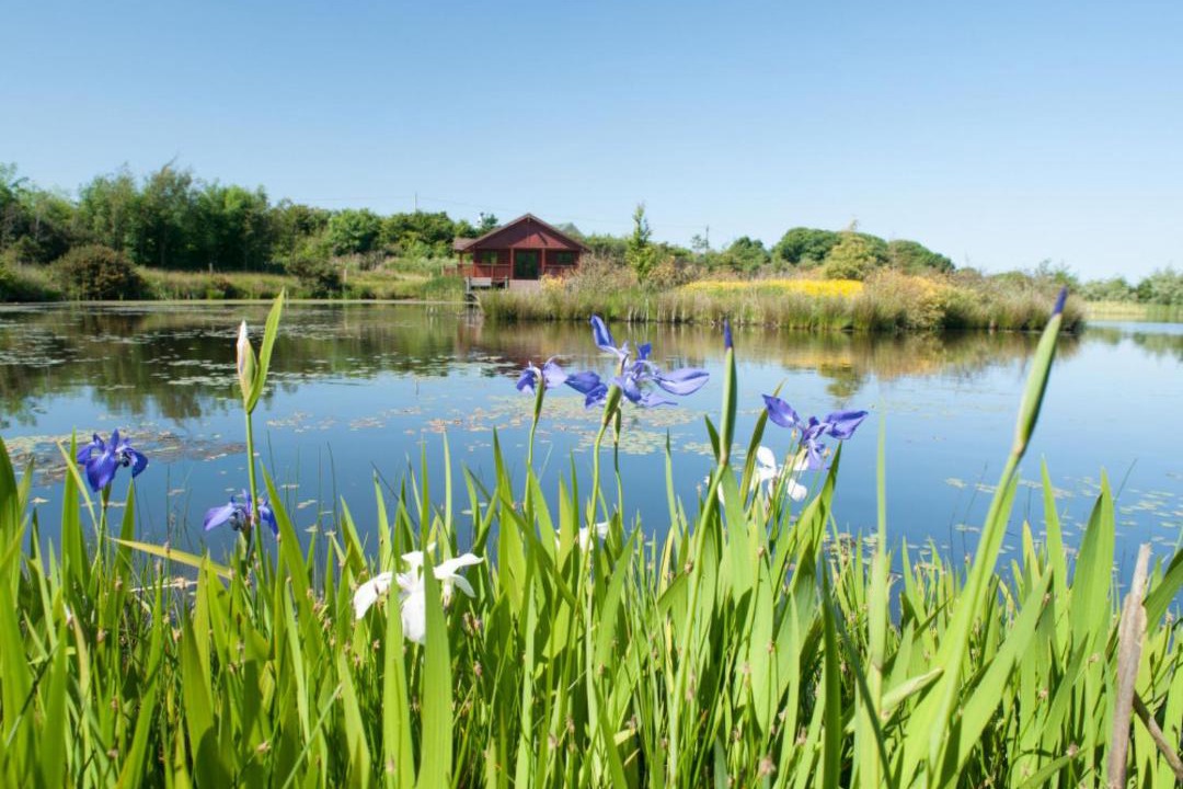 Photo of Others in Llanerchymedd