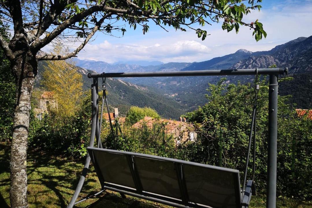 Photo of Others in Letia