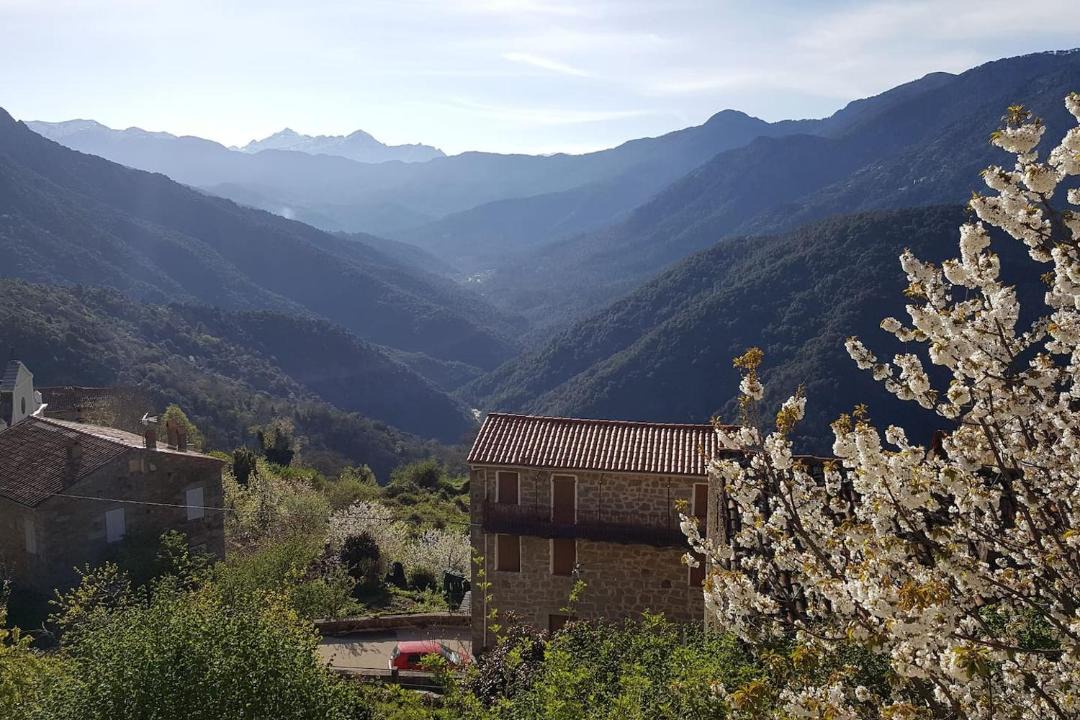 Photo of Others in Letia