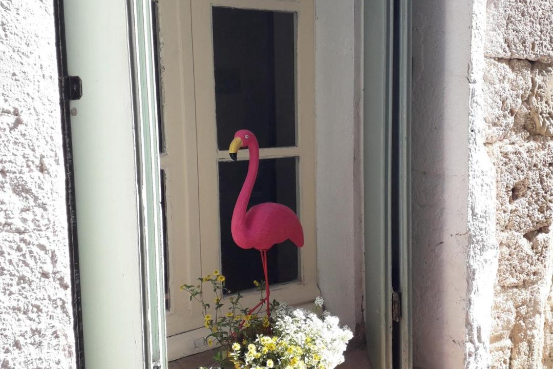 Photo of Others in Saint-Genies-de-Fontedit