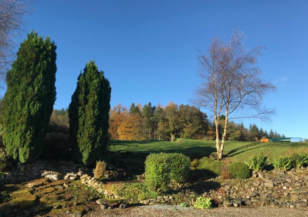 Photo of Others in Alexandria