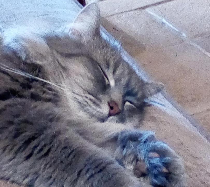 Photo of Others in Oradour-sur-Glane