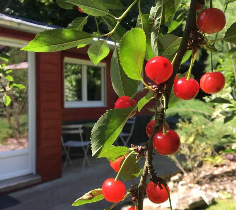 Photo of Others in Chessy