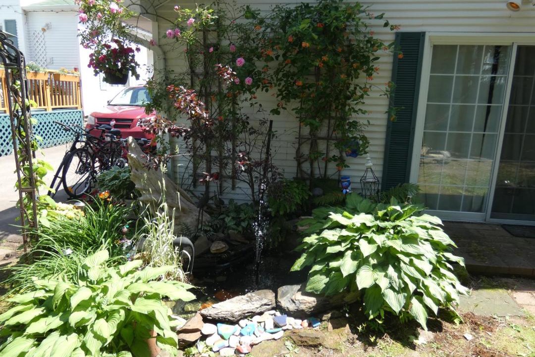 Photo of Others in Shediac