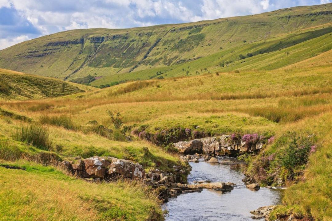 Photo of Outdoor in Ammanford