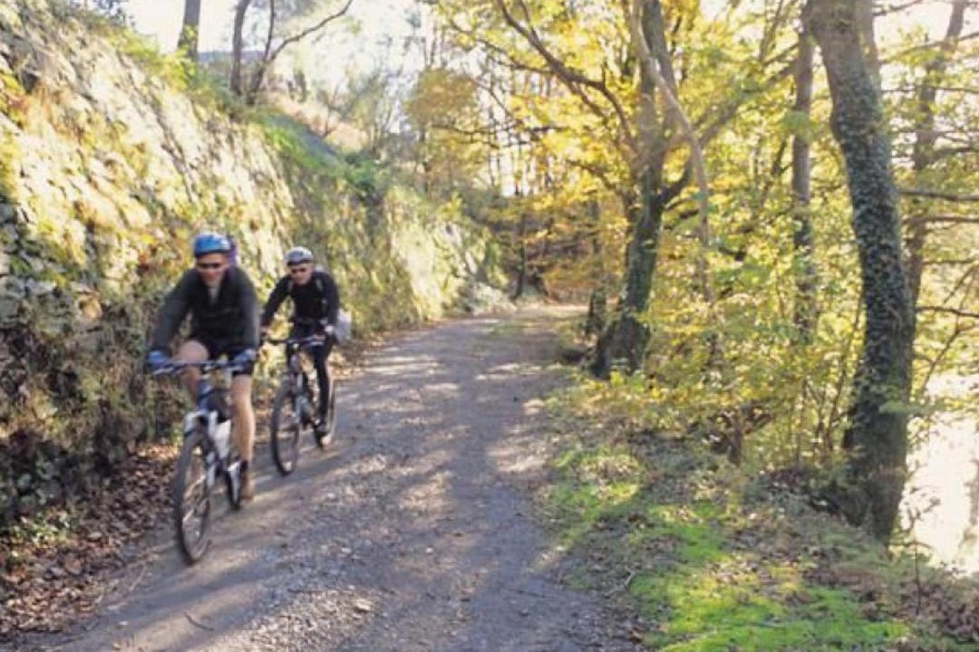 Photo of Others in Brynrefail