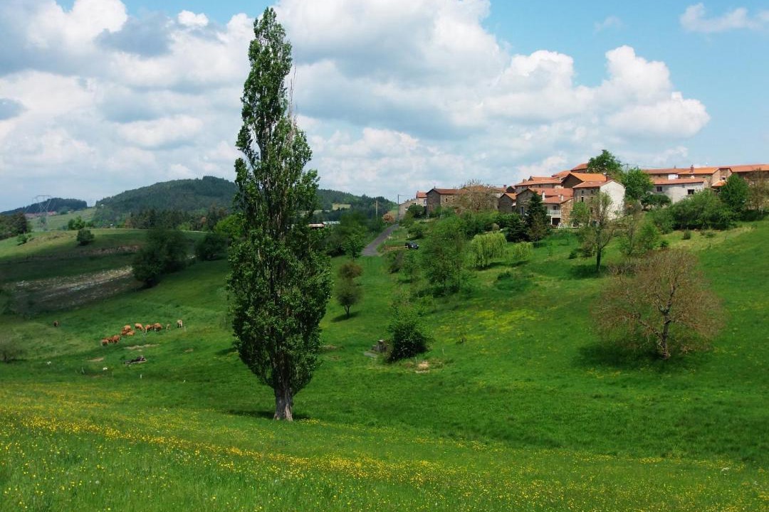 Photo of Others in Auzon Communaute