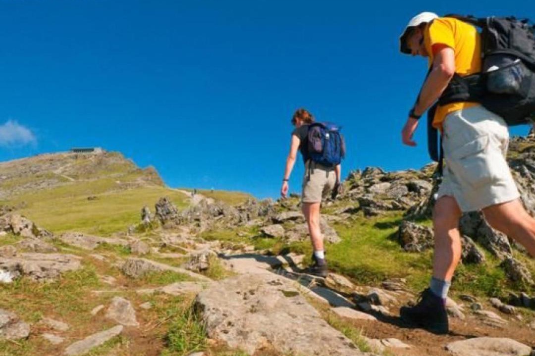 Photo of Others in Brynrefail