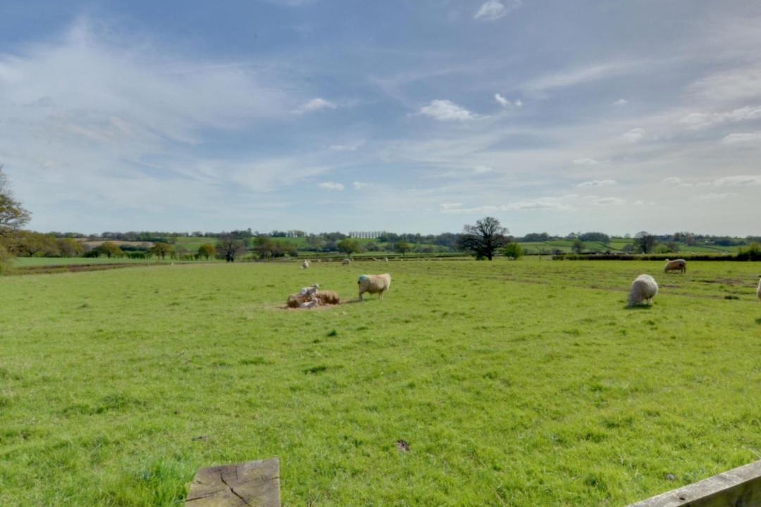 Photo of Outdoor in Cranbrook