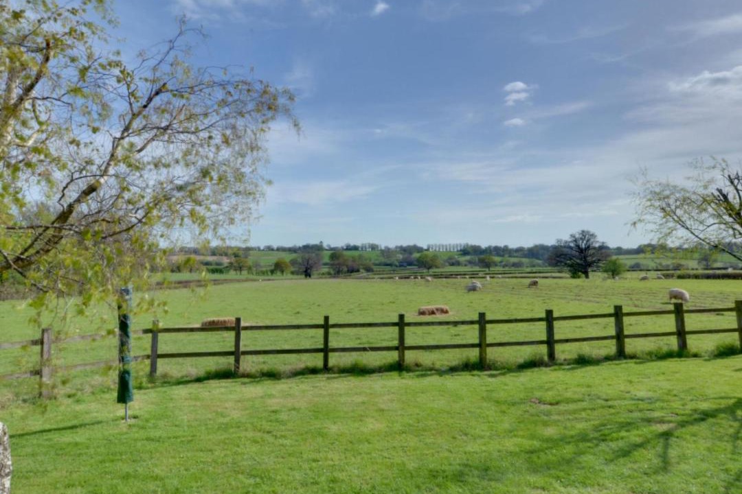 Photo of Others in Cranbrook