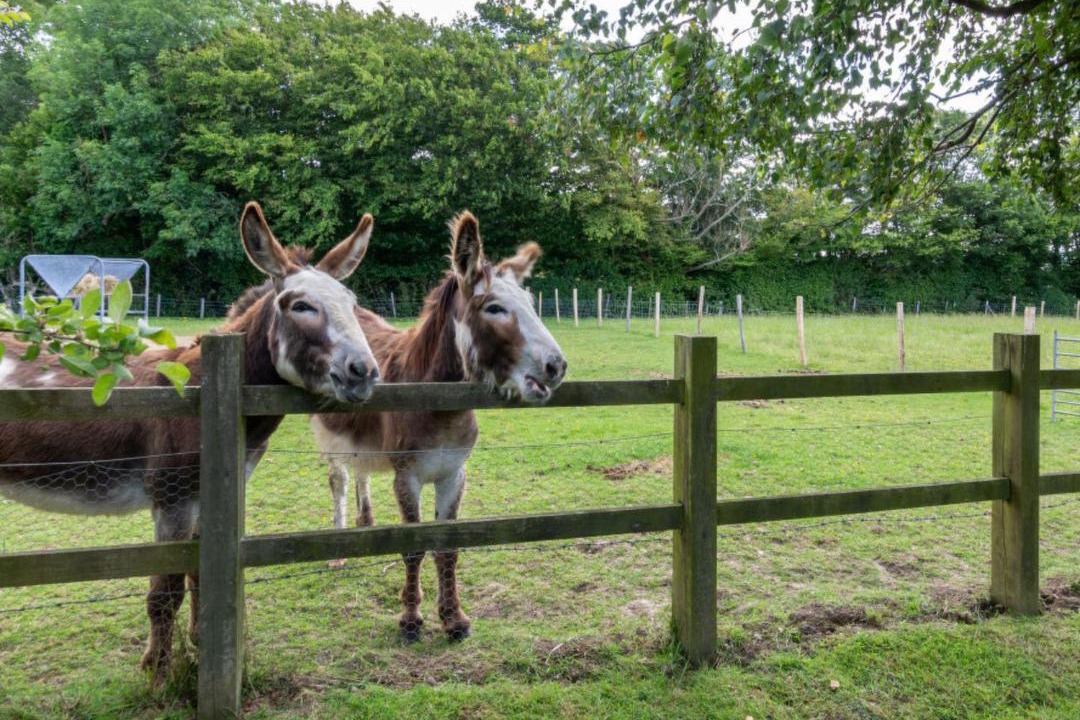 Photo of Others in Cranbrook
