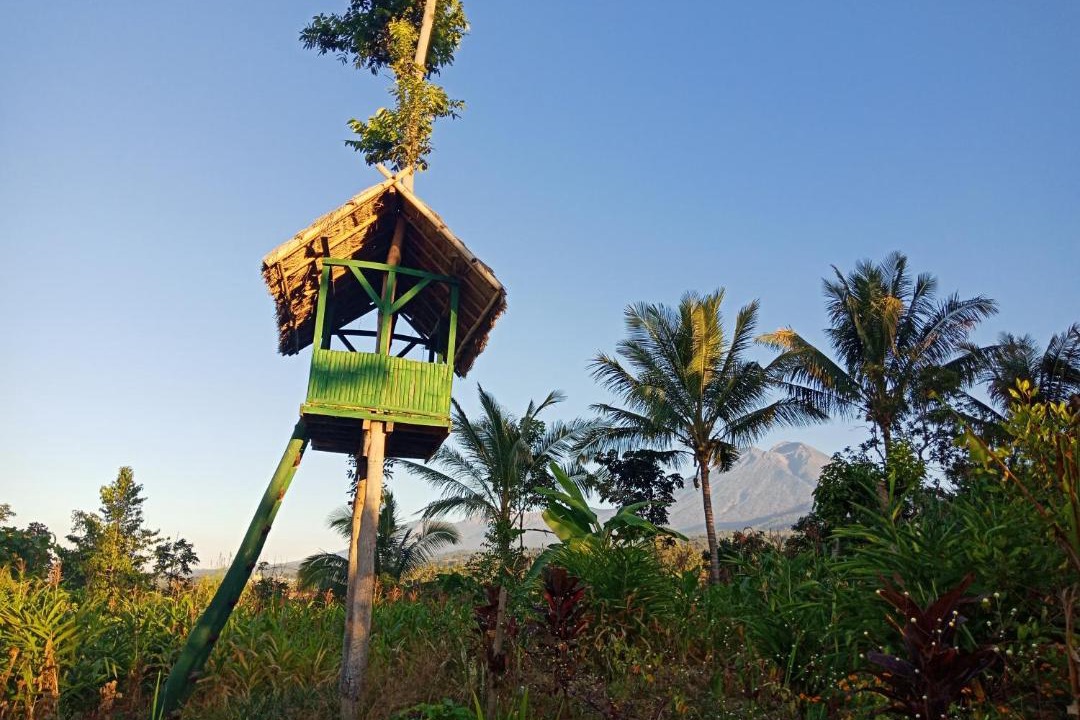 Photo of Others in Lombok