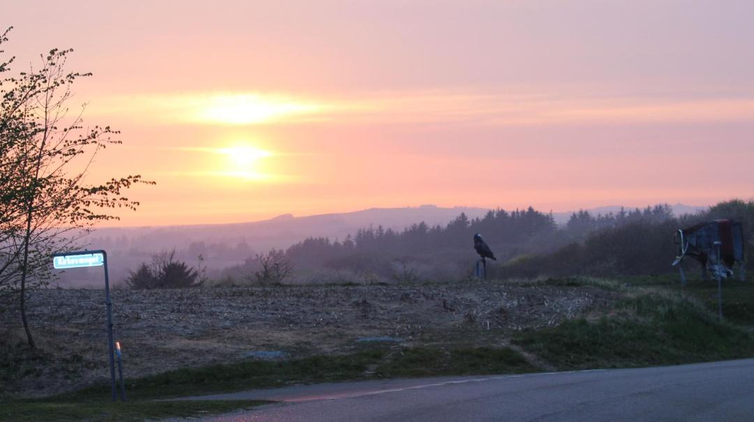 Photo of Others in Bjergby