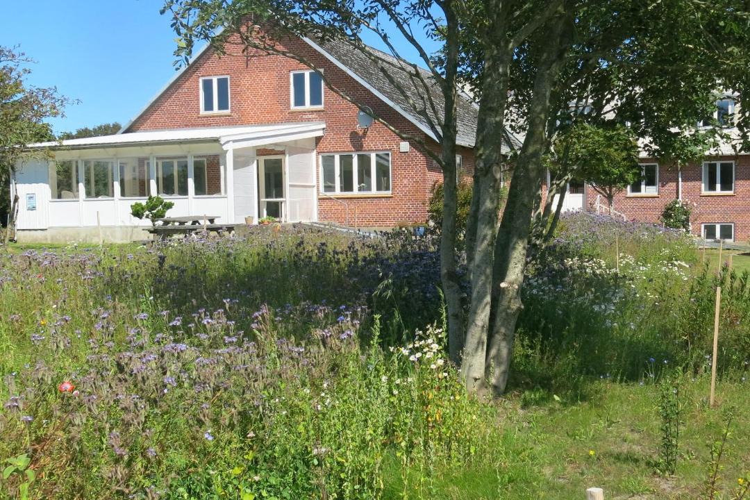Photo of Others in Bjergby