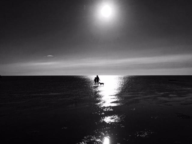 Photo of Others in Saint-Quentin-en-Tourmont