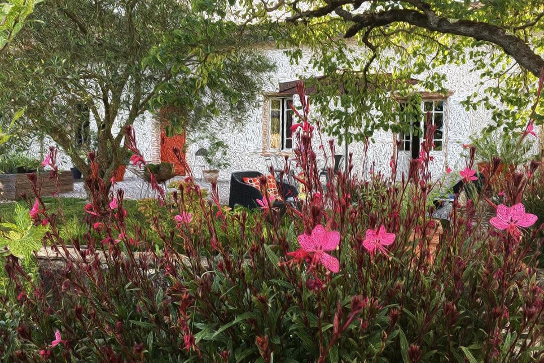 Photo of Others in Lisle-sur-Tarn