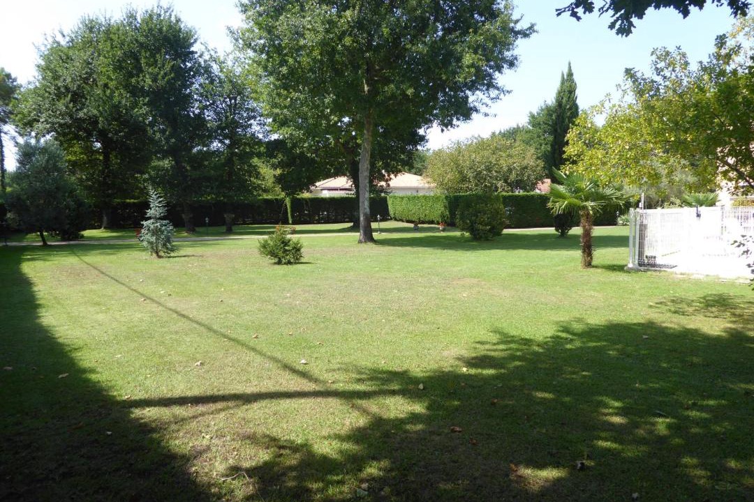 Photo of Others in Sainte-Eulalie-en-Born