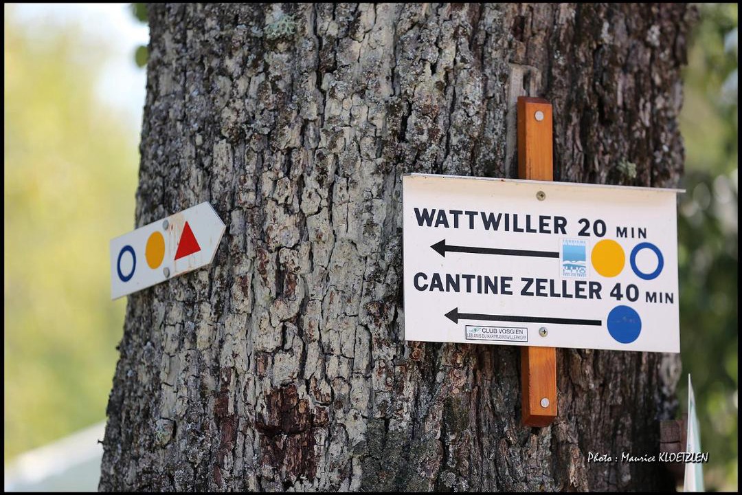 Photo of Others in Wattwiller