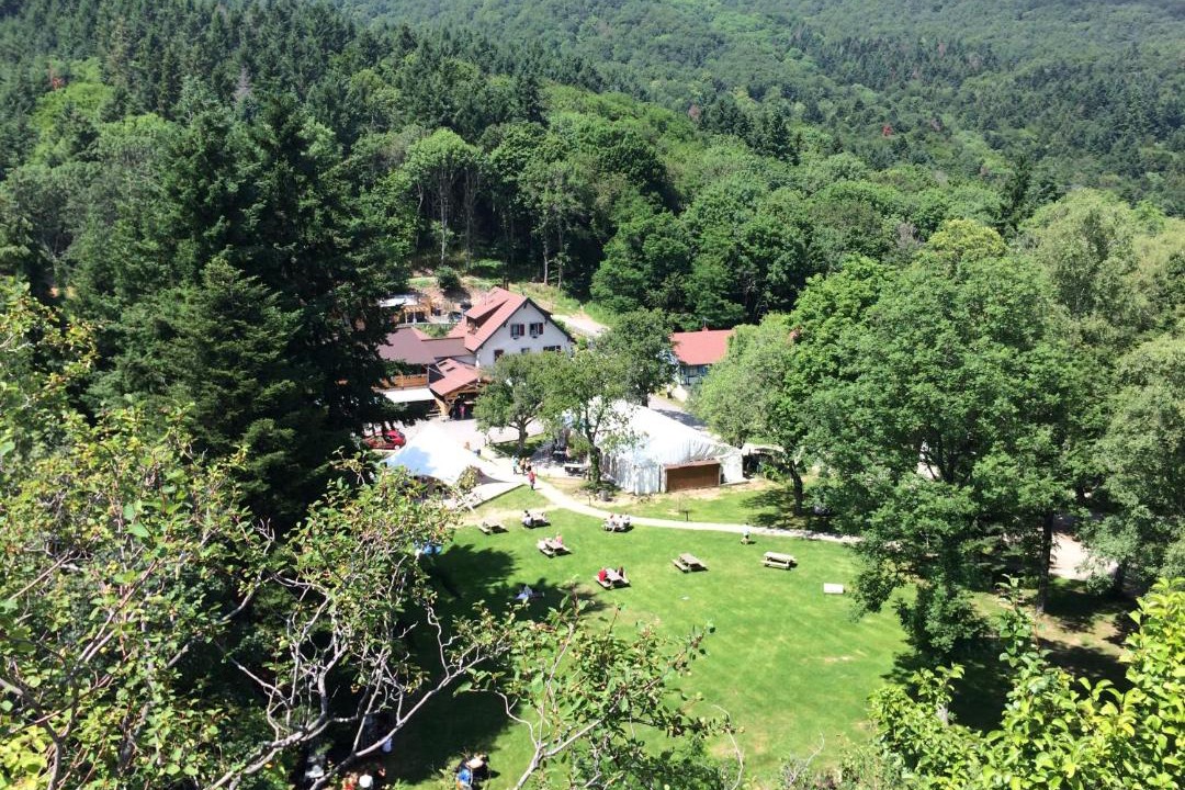 Photo of Others in Wattwiller