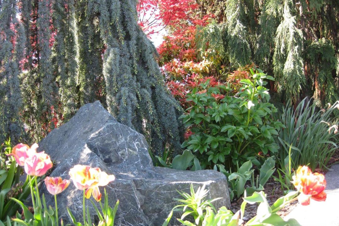 Photo of Others in Oak Harbor