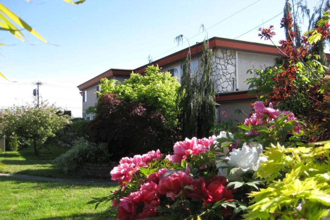 Photo of Others in Oak Harbor