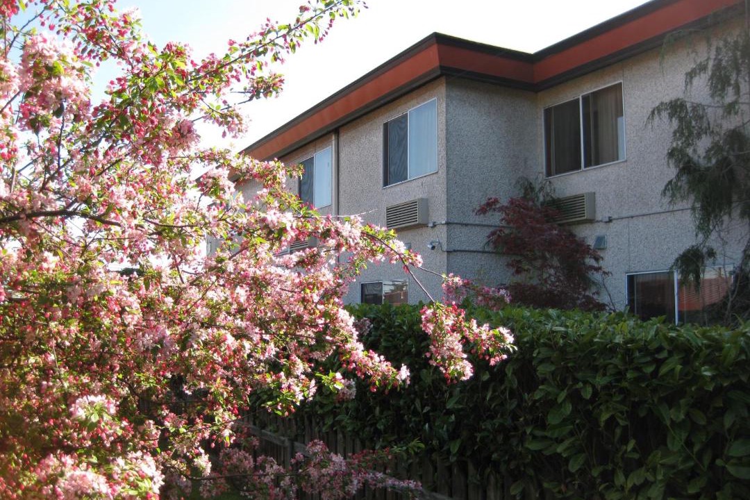 Photo of Others in Oak Harbor