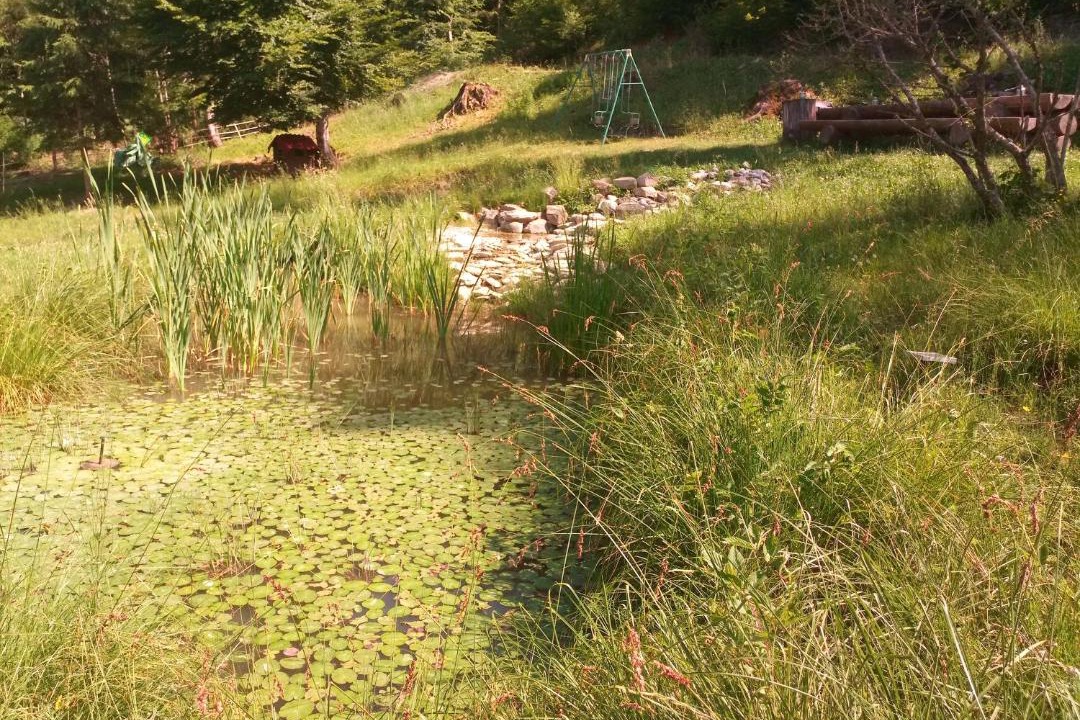 Photo of Others in Seyne