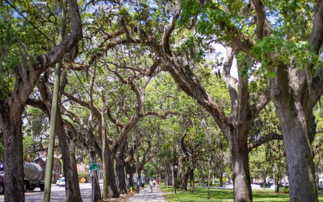 Photo of Outdoor in Historic District - North