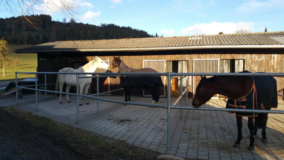 Photo of Others in Grosswangen