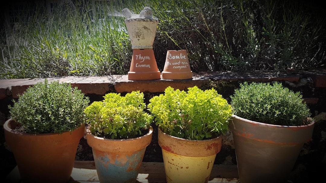 Photo of Others in Labastide-dArmagnac