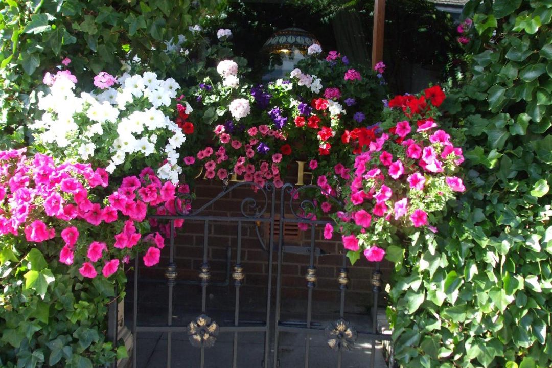 Photo of Others in North Shore