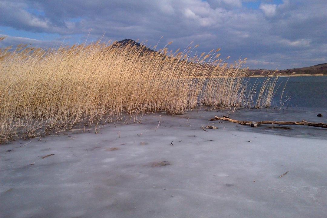 Photo of Others in Octon