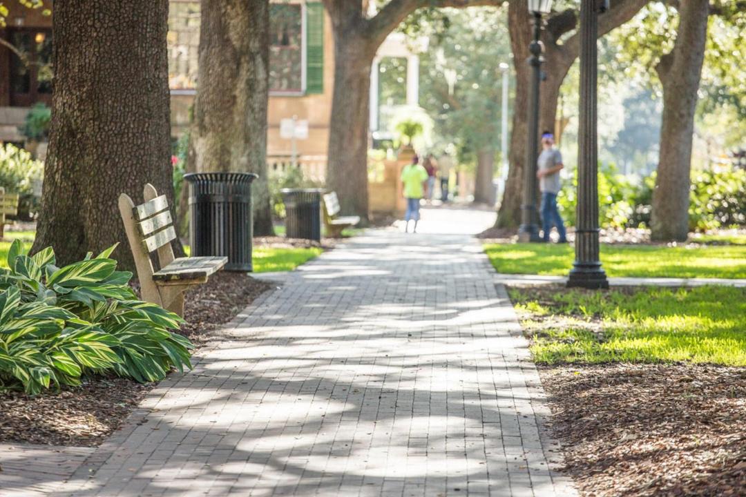 Photo of Others in Historic District - North