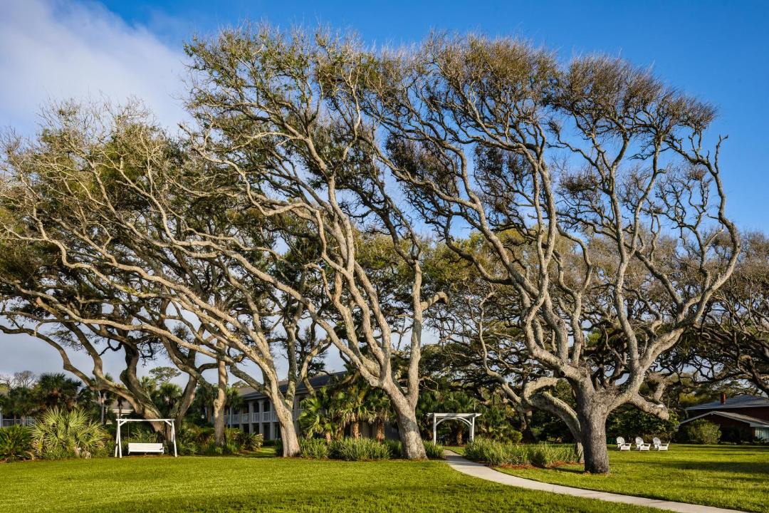 Photo of Others in Jekyll Island
