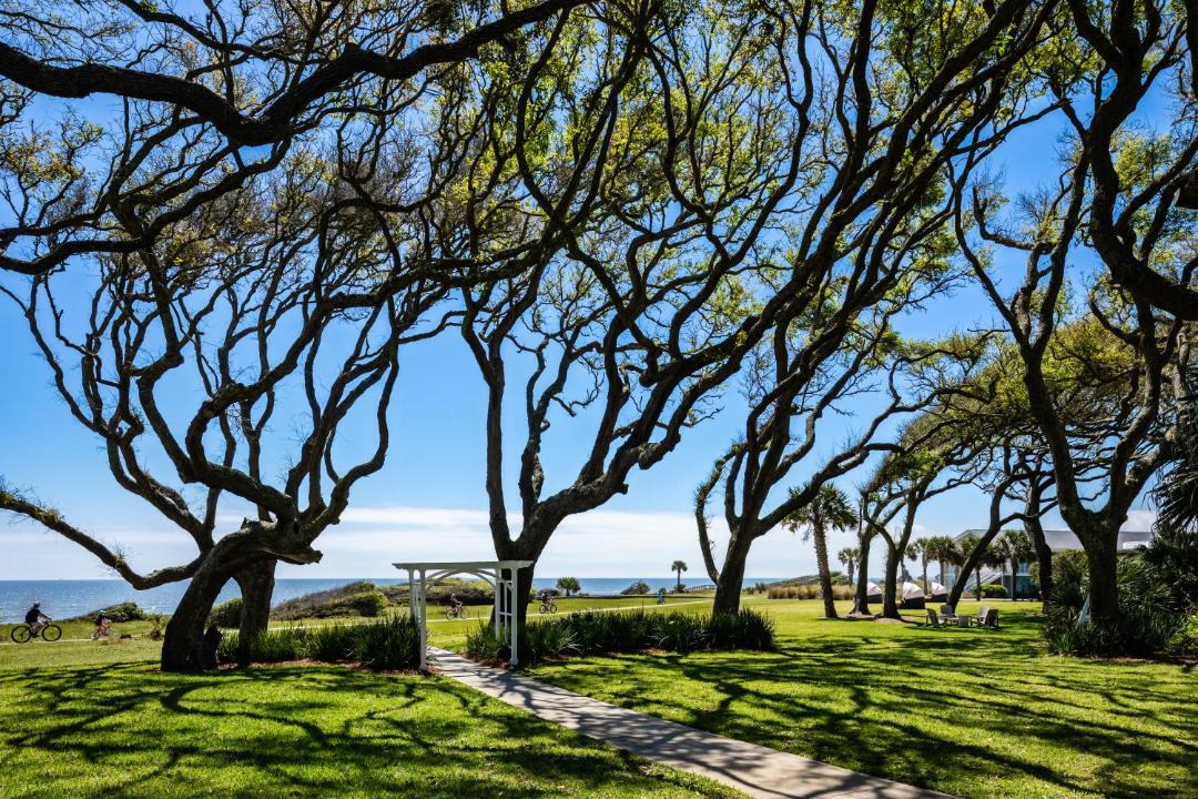 Photo of Others in Jekyll Island