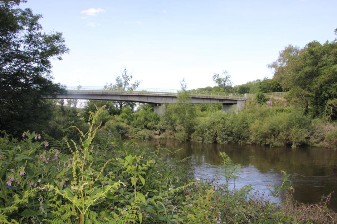 Photo of Outdoor in Billingsley