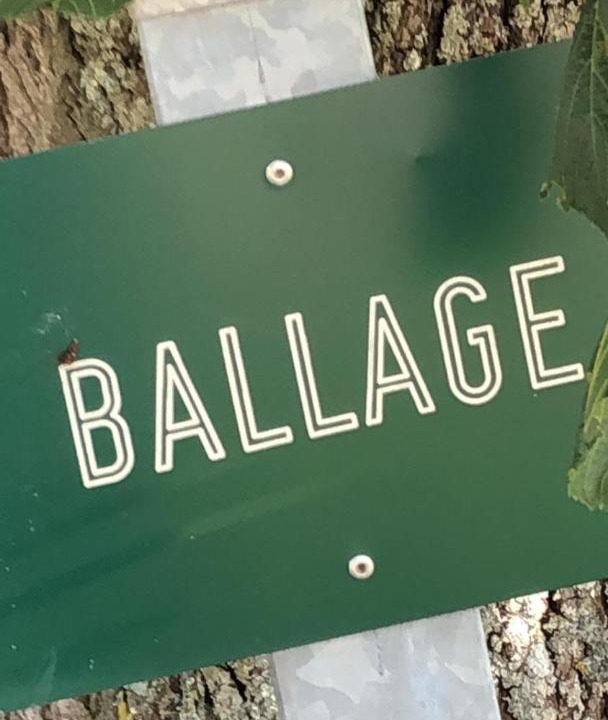 Photo of Others in Chemille-sur-Deme