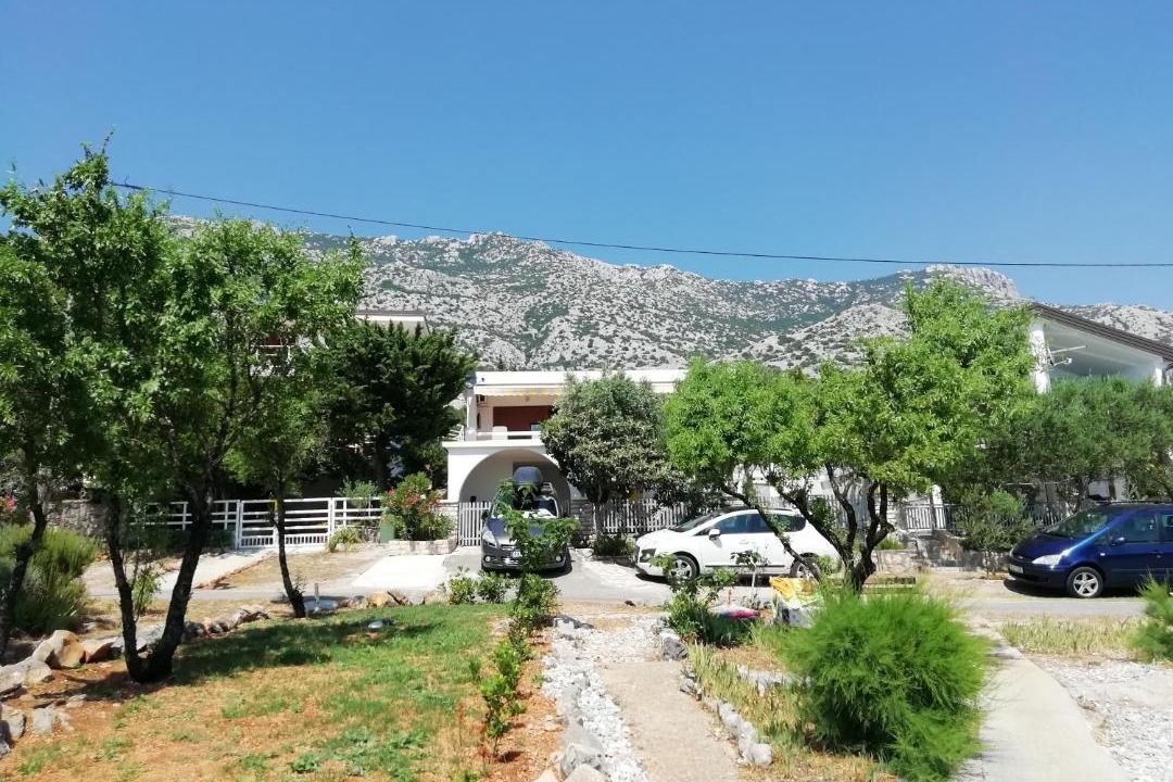 Photo of Others in Ribarica