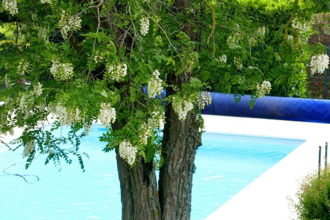 Photo of Others in Saint-Maur