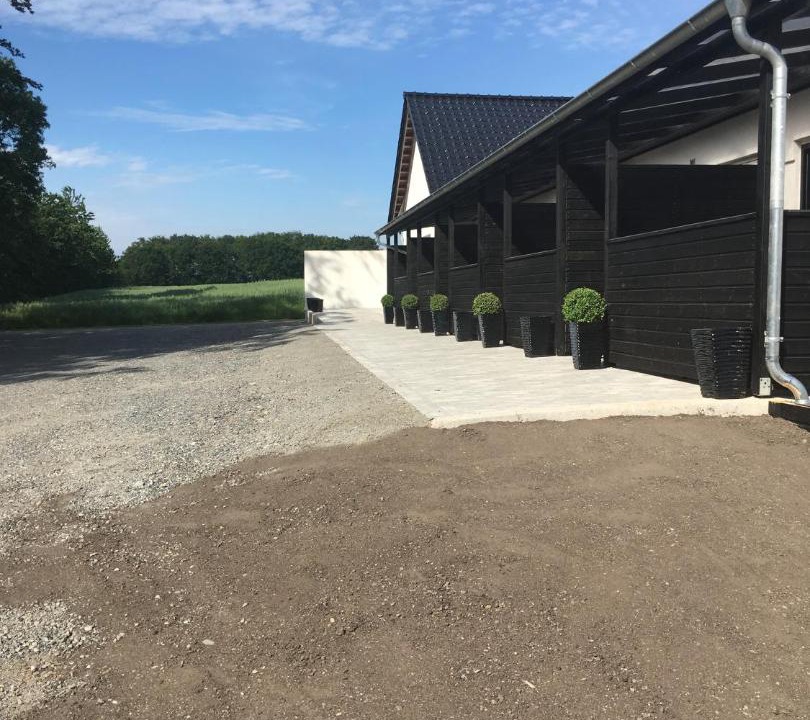 Photo of Others in Give