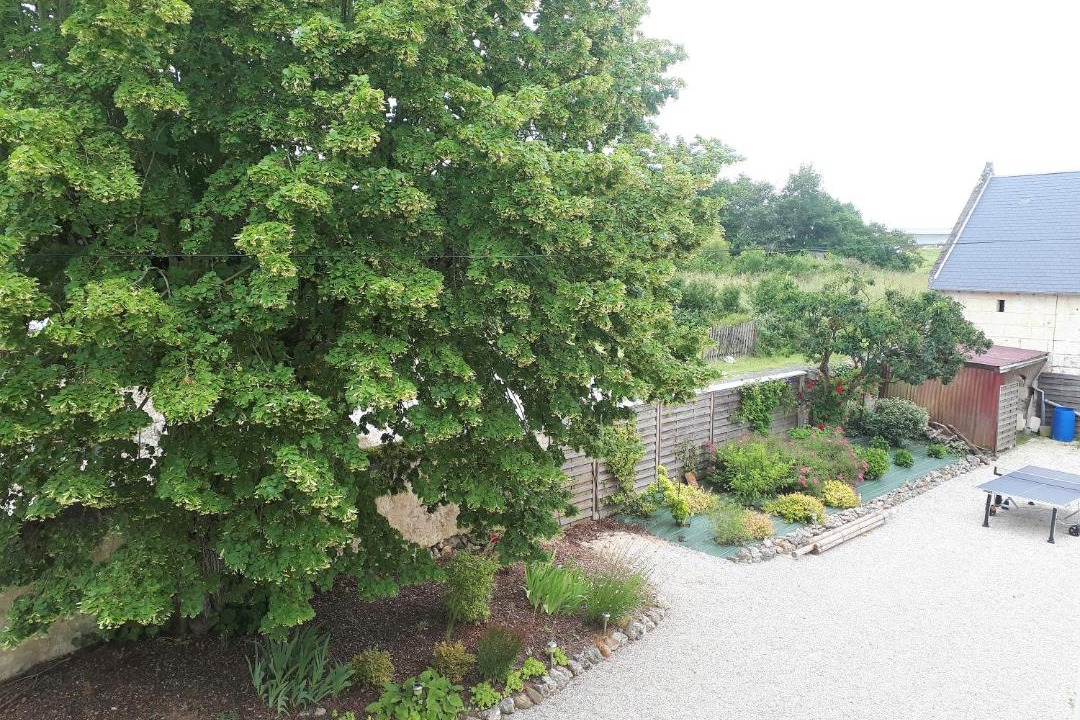 Photo of Others in Faverolles-sur-Cher