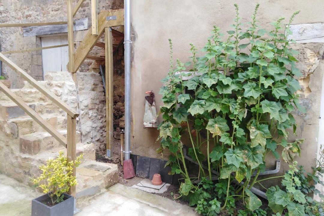 Photo of Others in Vaucelles