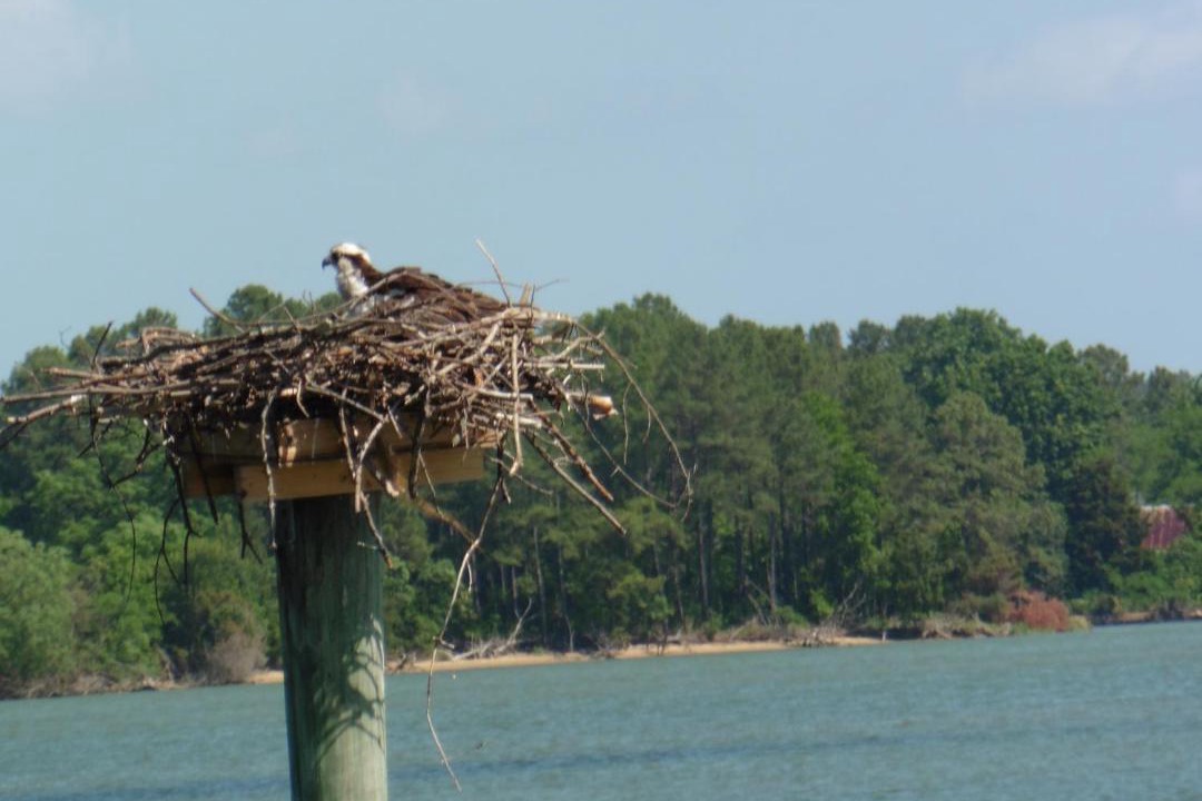 Photo of Others in Ridge