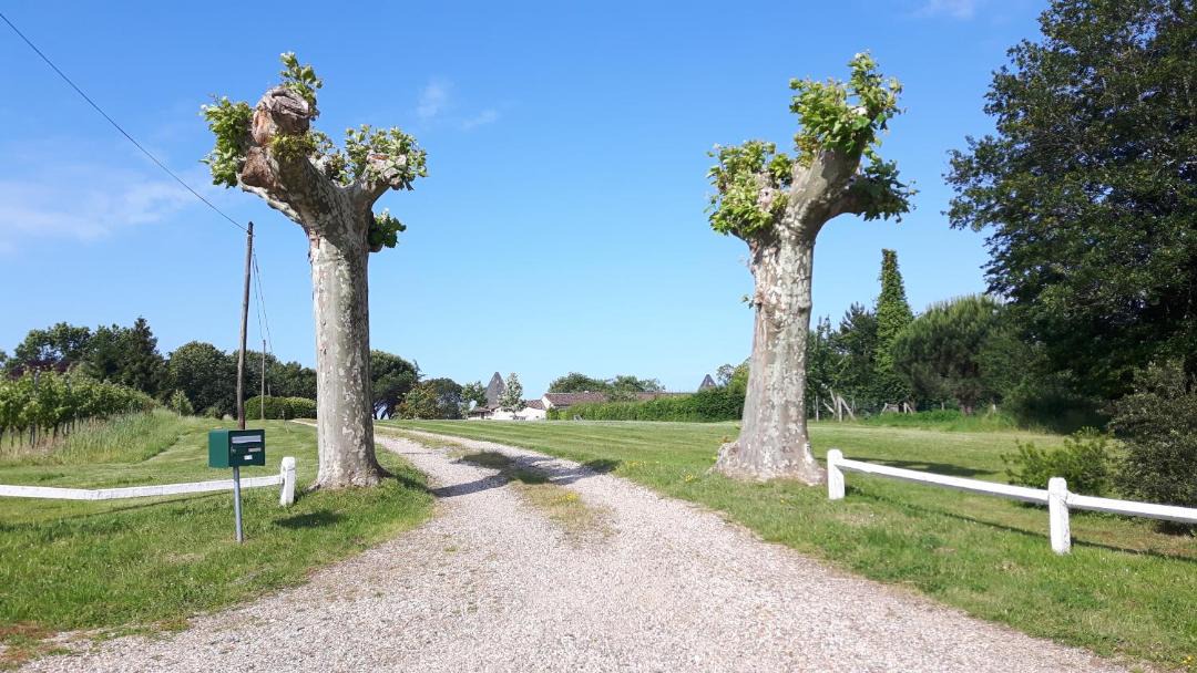 Photo of Others in Soulignac