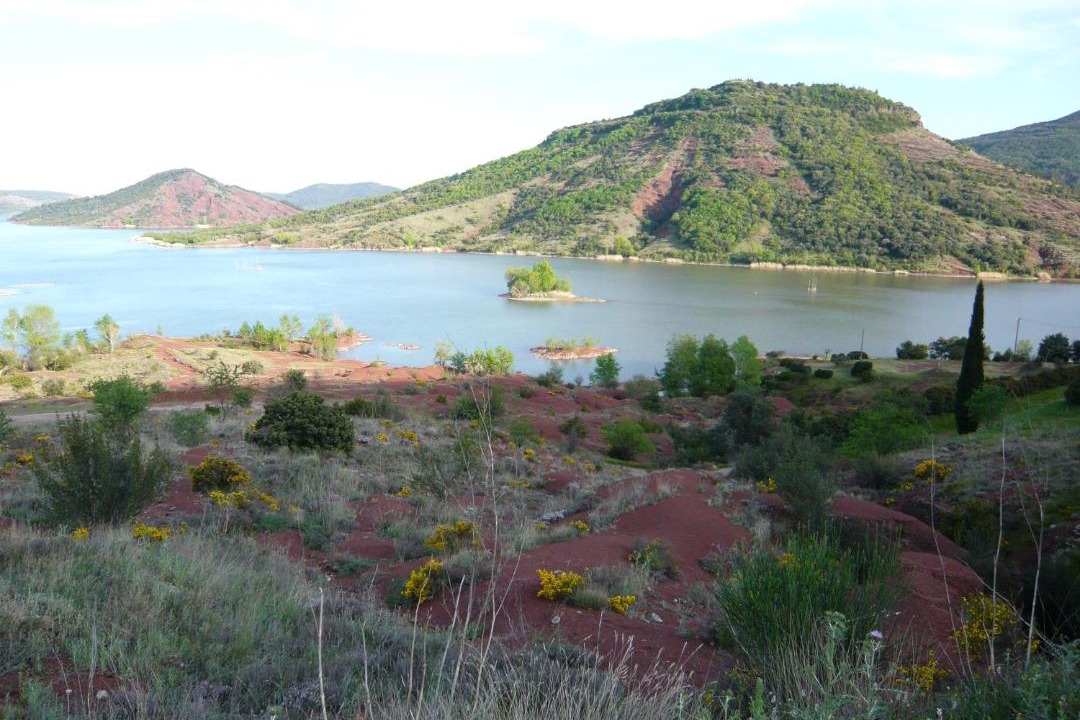 Photo of Others in Octon