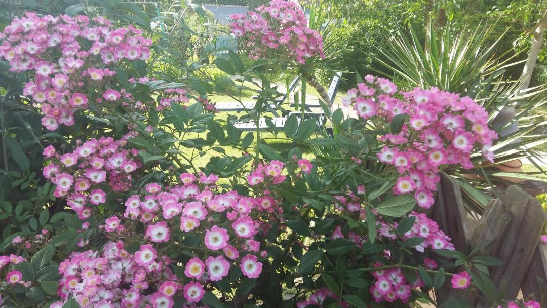 Photo of Outdoor in Orbigny