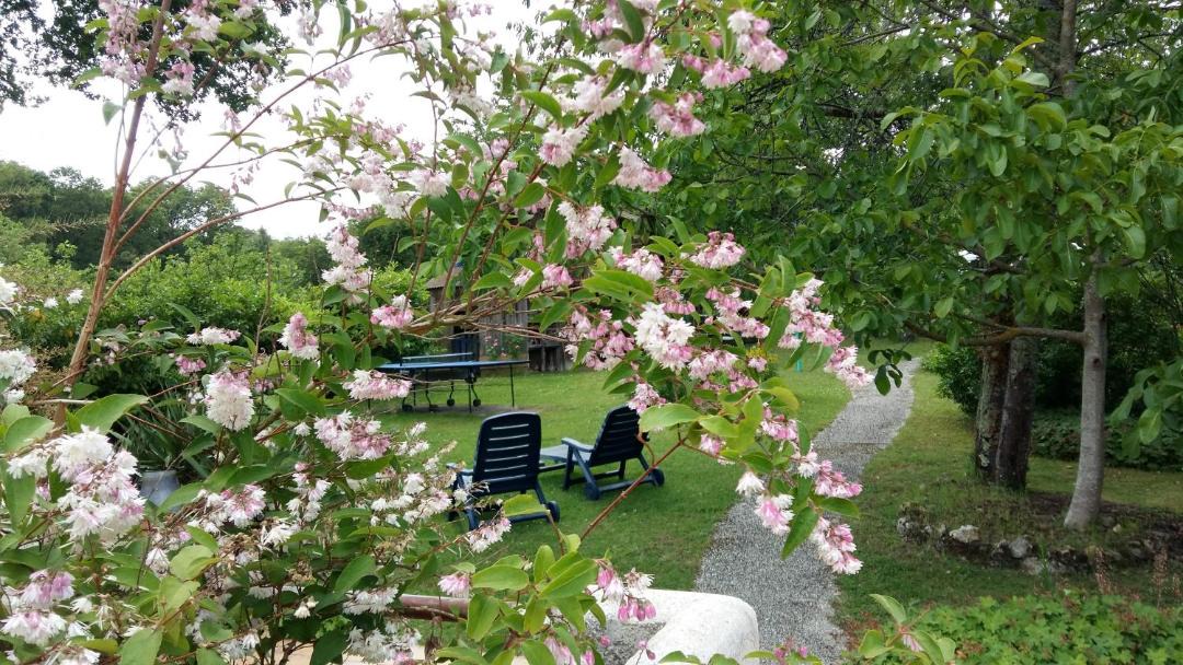 Photo of Others in Orbigny