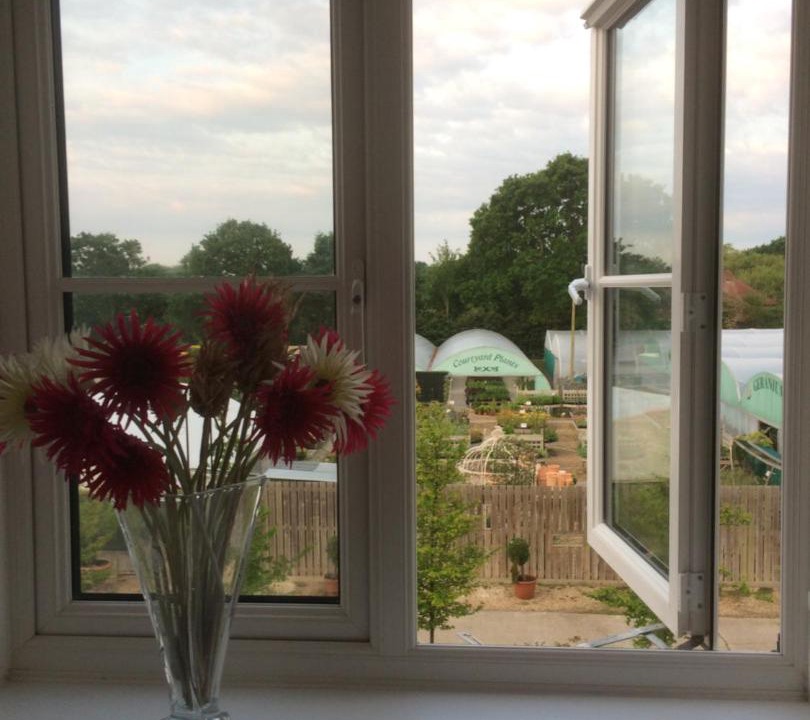 Photo of Others in Birdham