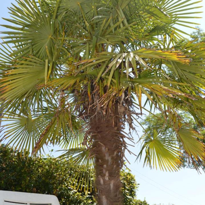 Photo of Others in Villiers-le-Roux