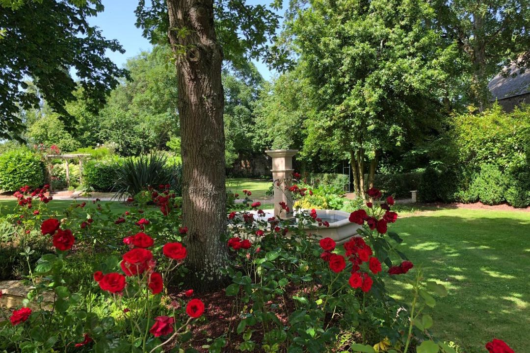 Photo of Others in Saint-Vigor-le-Grand